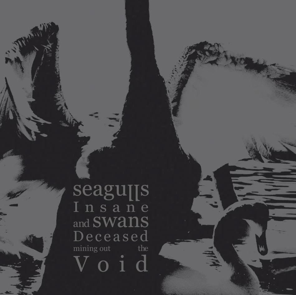 Seagulls Insane and Swane Deceased Out The Void - Seagulls Insane and Swans Deceased Mining Out The Void